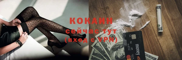 мдпв Коряжма