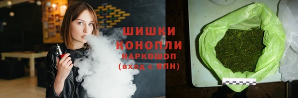 дмт Костерёво