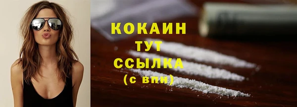 дмт Костерёво