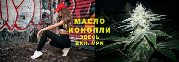 дмт Костерёво