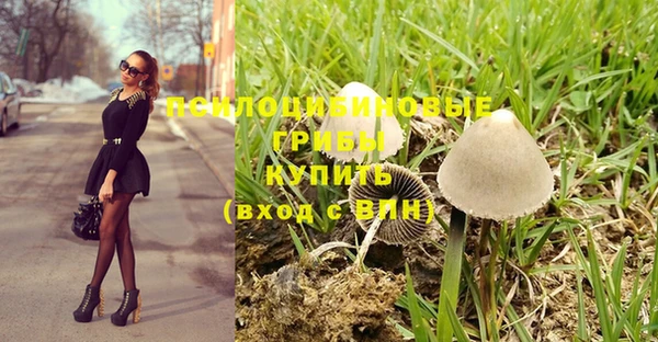 мдпв Коряжма
