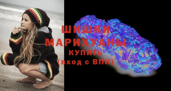 мдпв Коряжма