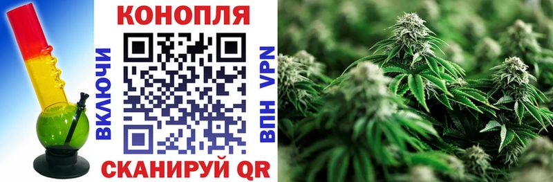 Купить закладки  Куровское  Бошки Шишки конопля 